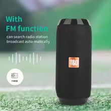 TG117 Portable Wireless Speaker